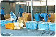 Wertstoff-Recyling im Werk